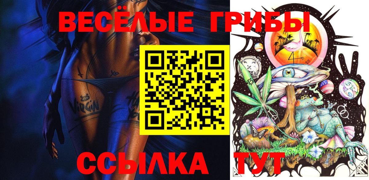 Псилоцибиновые грибы MAGIC MUSHROOMS Холмск